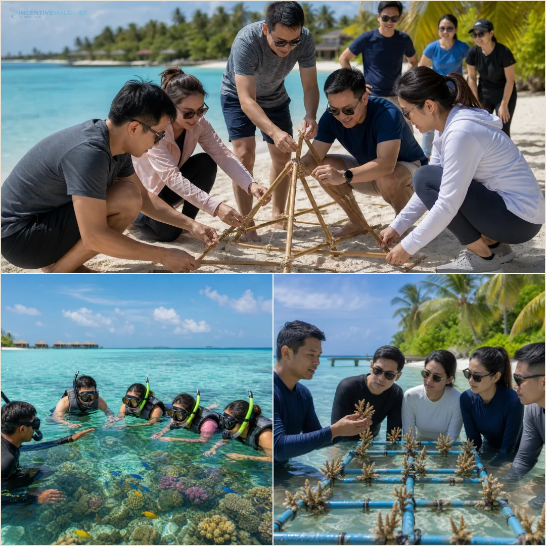 คอลลาจทีมองค์กรทำกีฬาชายหาด ดำน้ำตื้น และกิจกรรมปะการังในมัลดีฟส์